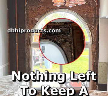 Termite Problems? Living With, Buying Or Selling A Home. What You Need To Know