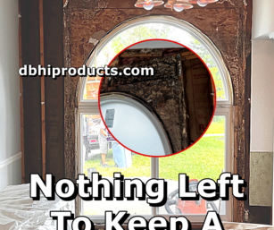 Termite Problems? Living With, Buying Or Selling A Home. What You Need To Know